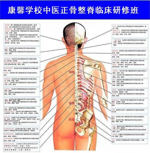 中医正骨整脊