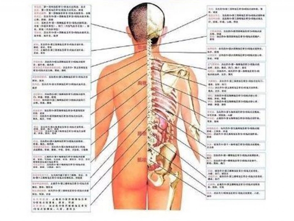 中医正骨整脊研修班8月8日开课